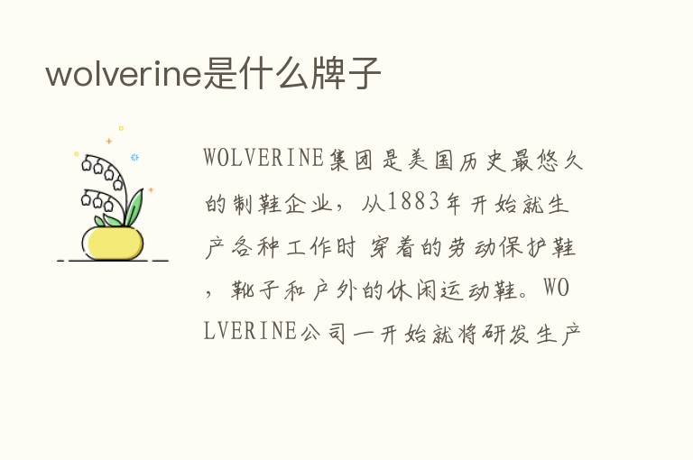 wolverine是什么牌子