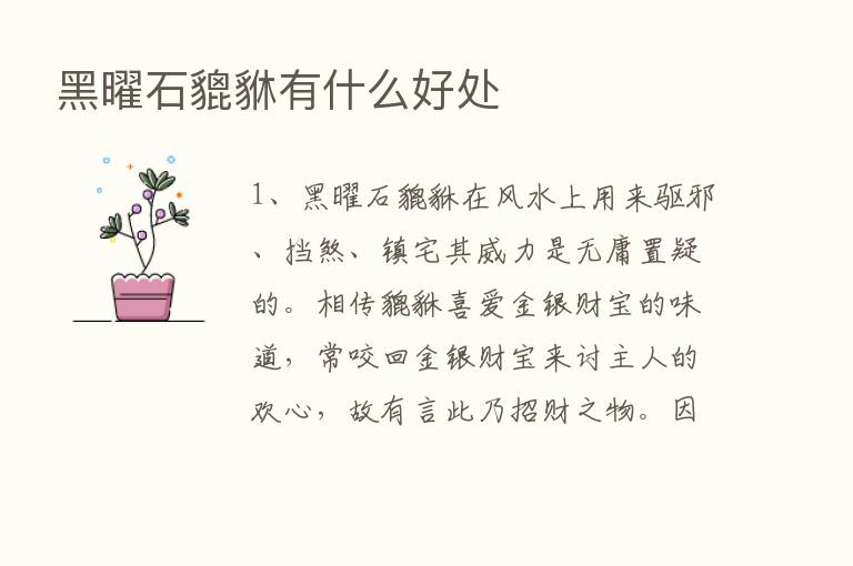 黑曜石貔貅有什么好处