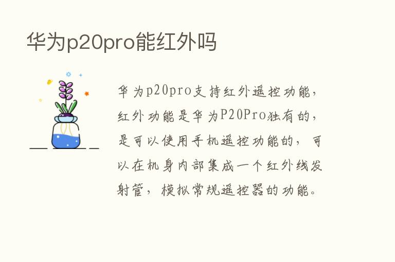 华为p20pro能红外吗