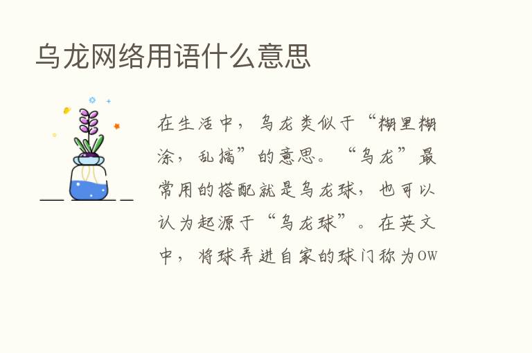 乌龙网络用语什么意思