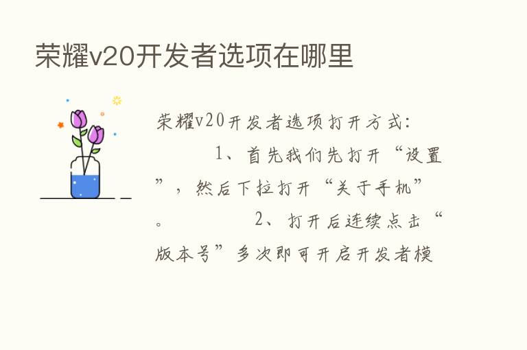       v20开发者选项在哪里