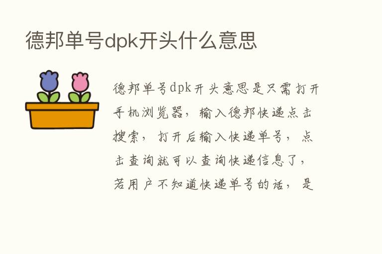 德邦单号dpk开头什么意思