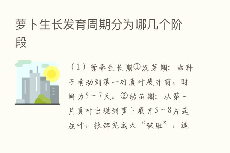 萝卜生长发育周期分为哪几个阶段