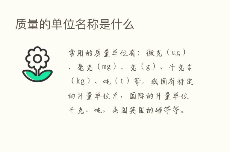 质量的单位名称是什么