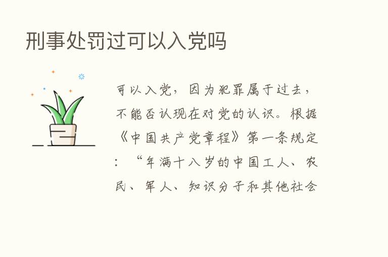 刑事处罚过可以入党吗