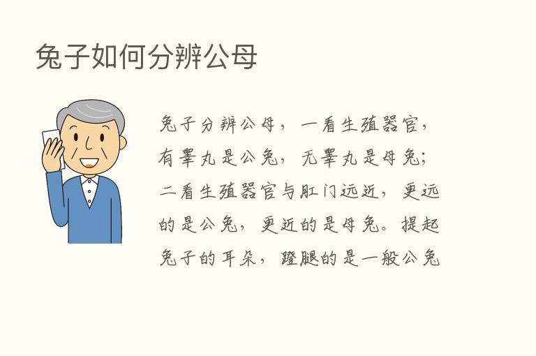 兔子如何分辨公母