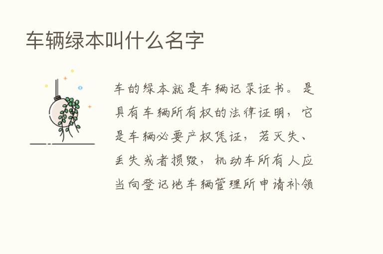 车辆绿本叫什么名字