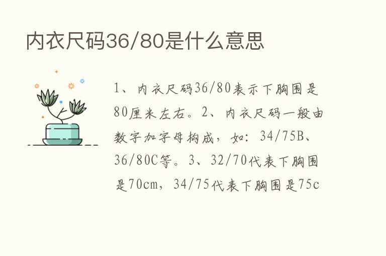 内衣尺码36/80是什么意思