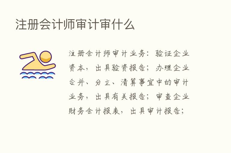 注册会计师审计审什么