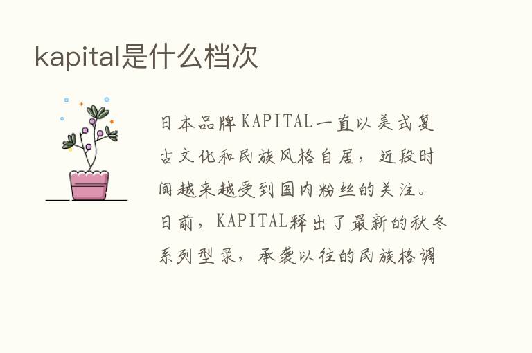 kapital是什么档次