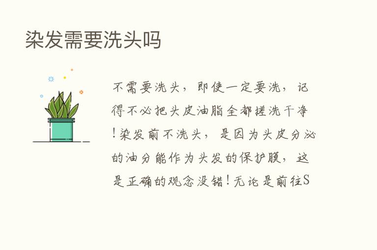 染发需要洗头吗