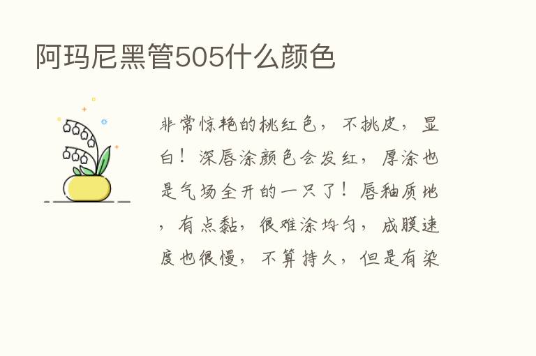 阿玛尼黑管505什么颜色