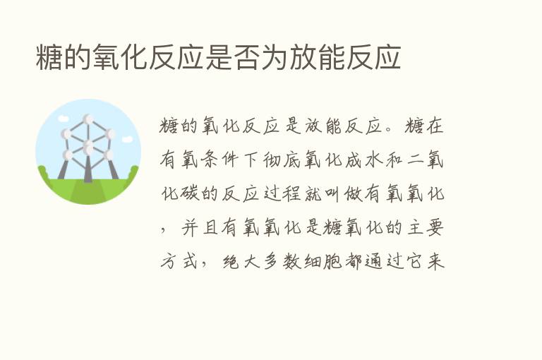 糖的氧化反应是否为放能反应