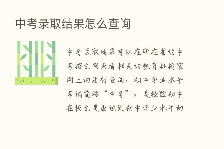 中考录取结果怎么查询