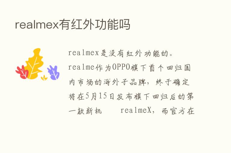 realmex有红外功能吗