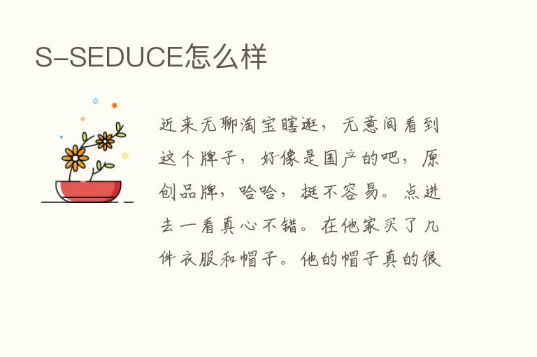 S-SEDUCE怎么样