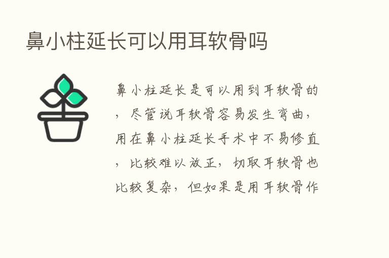 鼻小柱延长可以用耳软骨吗