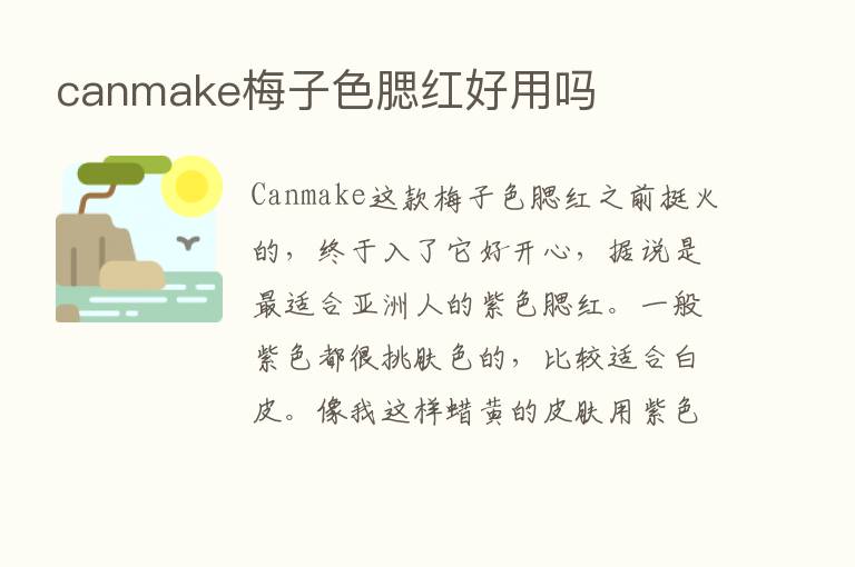 canmake梅子色腮红好用吗