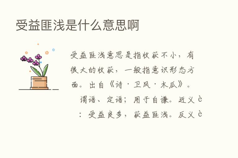 受益匪浅是什么意思啊