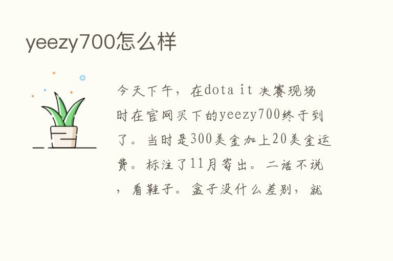 yeezy700怎么样