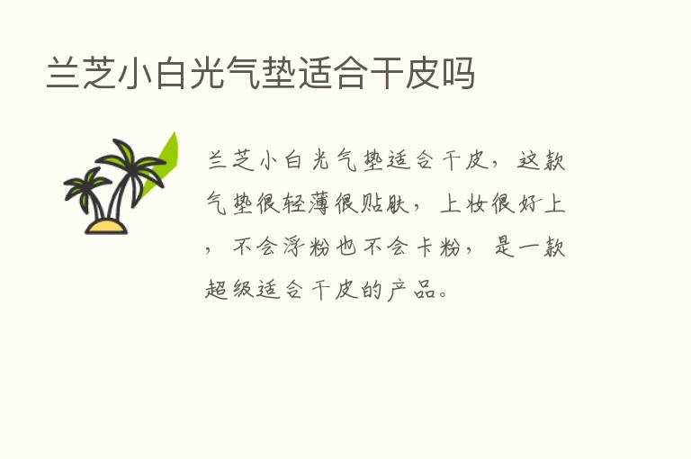 兰芝小白光气垫适合干皮吗