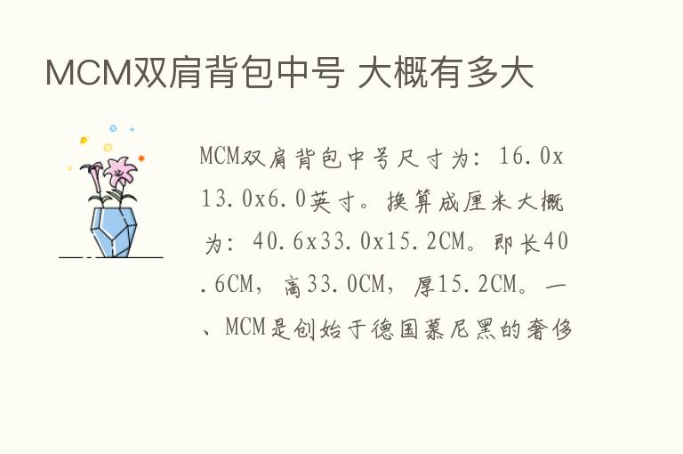 MCM双肩背包中号 大概有多大