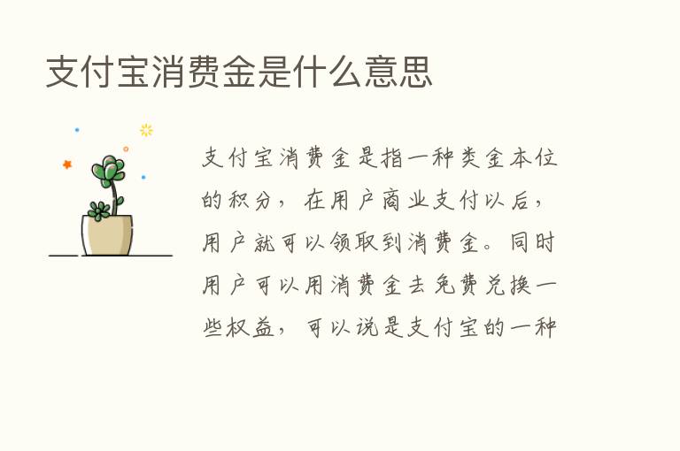 支付宝消费金是什么意思