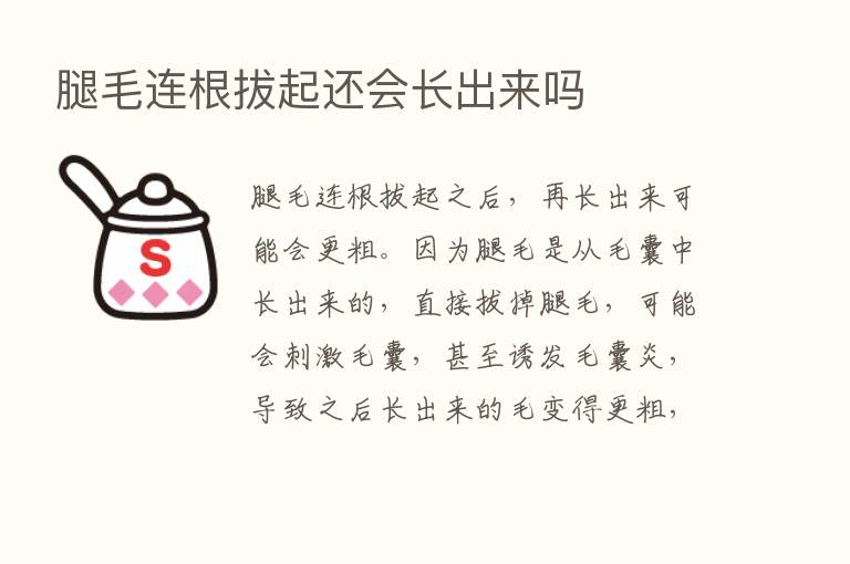 腿毛连根拔起还会长出来吗