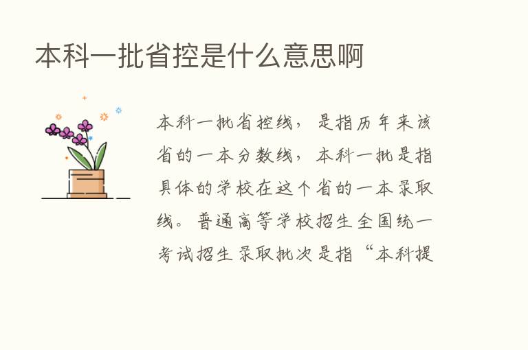 本科一批省控是什么意思啊