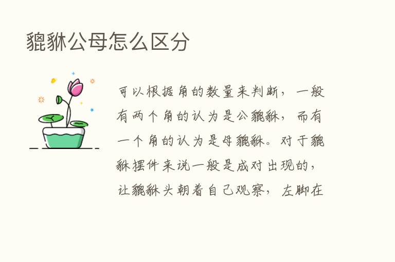 貔貅公母怎么区分