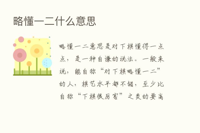 略懂一二什么意思