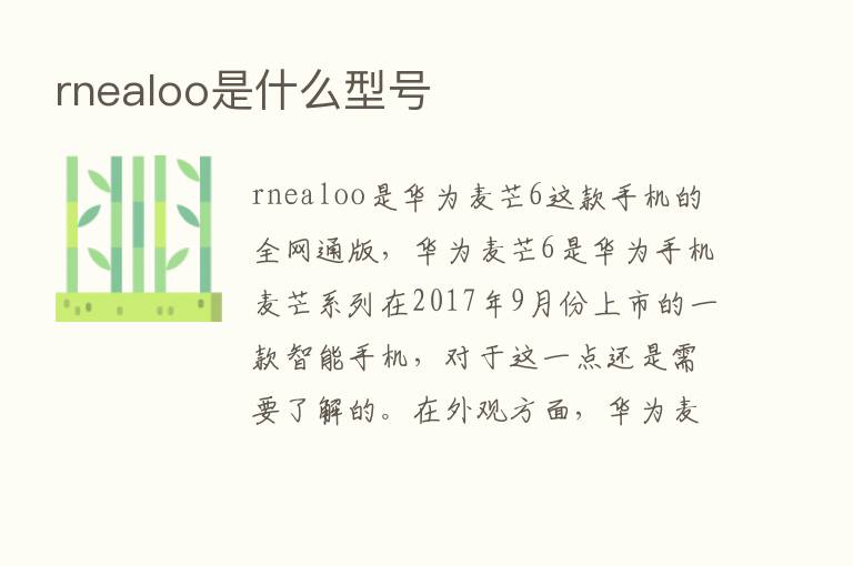 rnealoo是什么型号