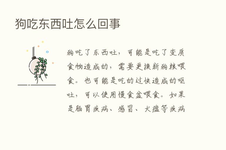 狗吃东西吐怎么回事