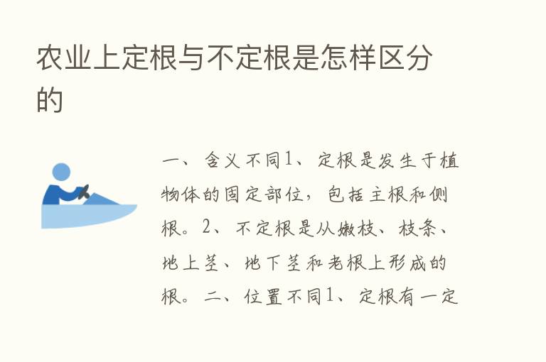 农业上定根与不定根是怎样区分的