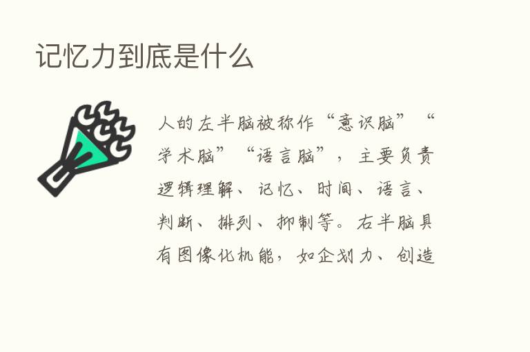 记忆力到底是什么