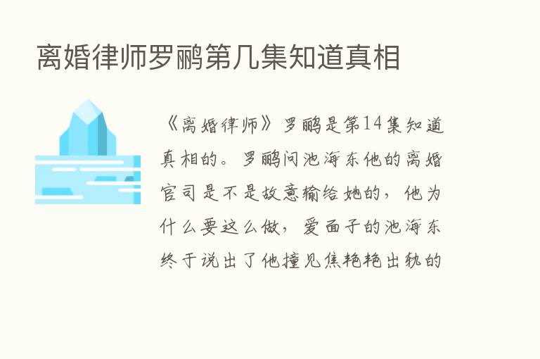 离婚律师罗鹂   几集知道真相