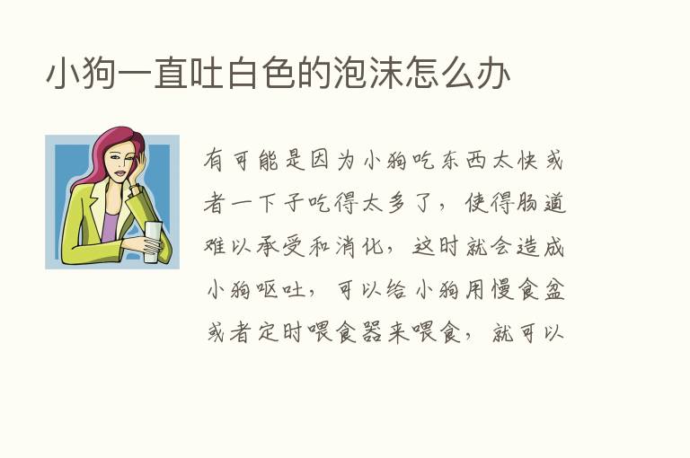 小狗一直吐白色的泡沫怎么办