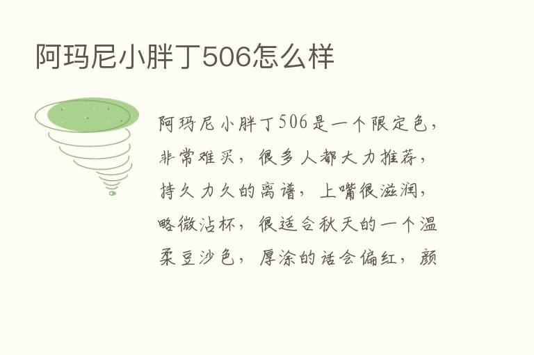 阿玛尼小胖丁506怎么样