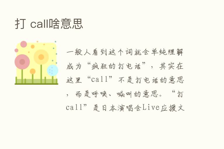 打 call啥意思