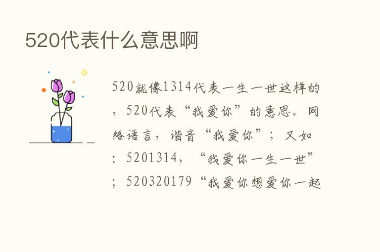 520代表什么意思啊