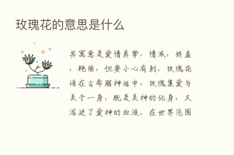 玫瑰花的意思是什么