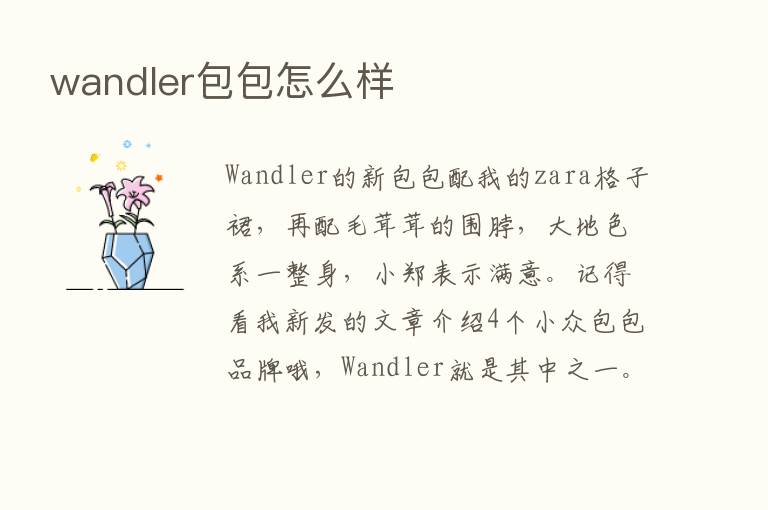 wandler包包怎么样