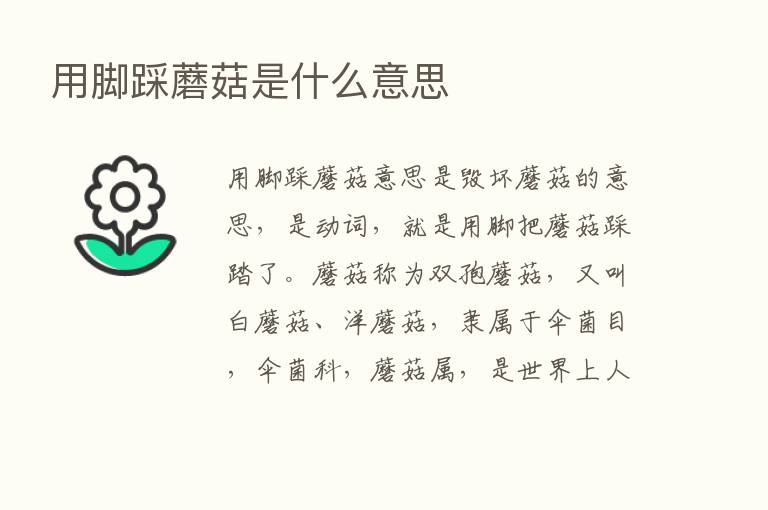 用脚踩蘑菇是什么意思