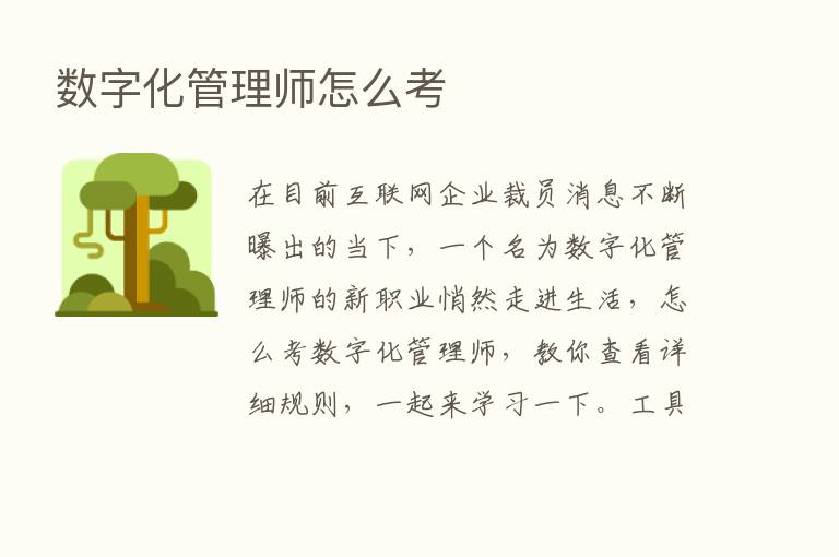 数字化管理师怎么考