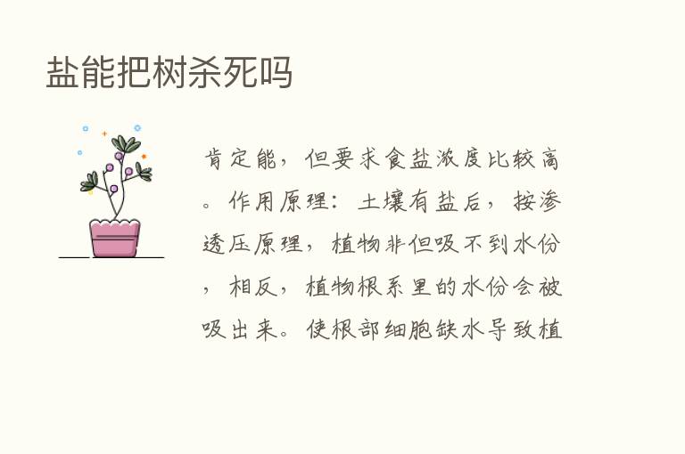 盐能把树   死吗