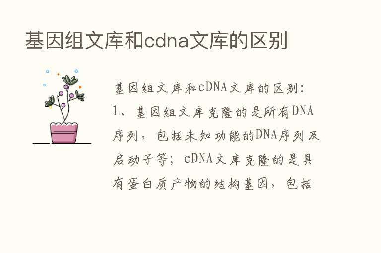 基因组文库和cdna文库的区别