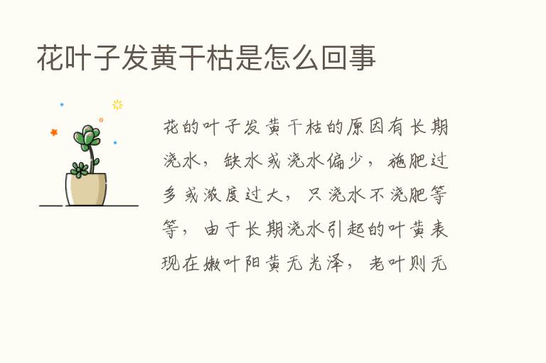 花叶子发黄干枯是怎么回事