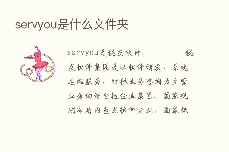 servyou是什么文件夹