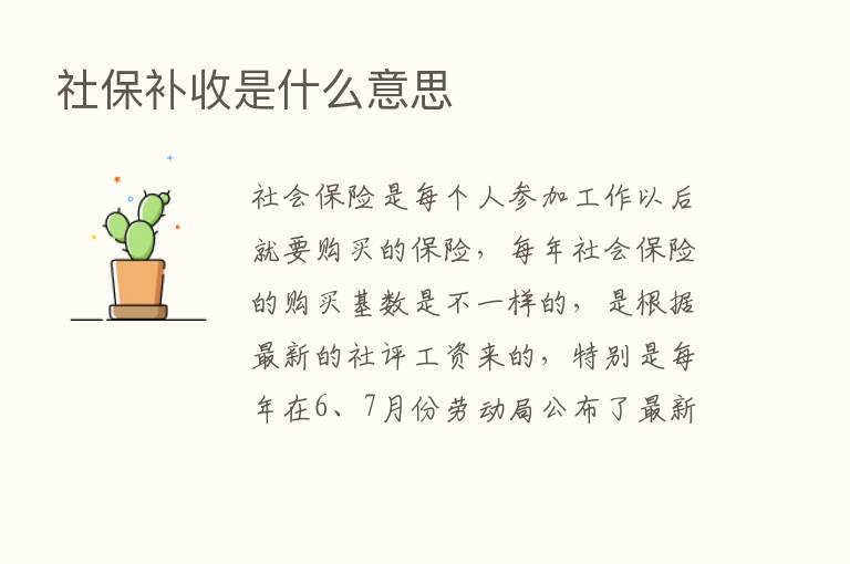 社保补收是什么意思