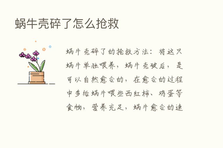 蜗牛壳碎了怎么抢救